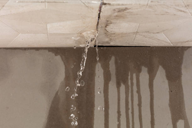 Professional Structural Drying technician working in Keller, WA